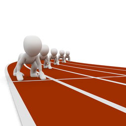 AC Milan官方APP下载-中小学体育教师职业成长路径研究，中小学体育教师现状